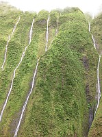 0831_IMG_2968.JPG