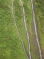 0832_IMG_2969.JPG