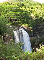 0899_IMG_3125.JPG