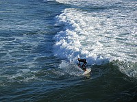 1568_IMG_4407.JPG