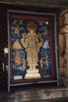 08.jpg