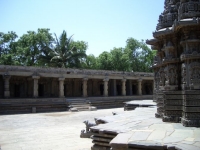 CIMG0668.jpg