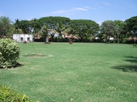 CIMG0671.jpg