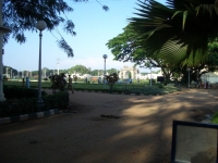CIMG0687.jpg