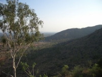 CIMG0691.jpg