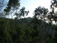 CIMG0694.jpg
