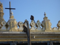 CIMG0703.jpg