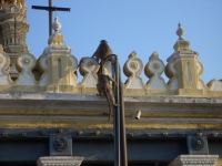 CIMG0705.jpg