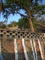 CIMG0708.jpg