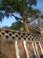 CIMG0709.jpg