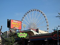 0088_IMG_0558.JPG