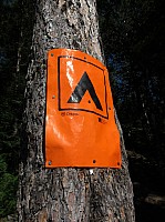 0199_IMG_0739.JPG