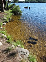 0208_IMG_0753.JPG