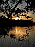 0242_IMG_0810.JPG
