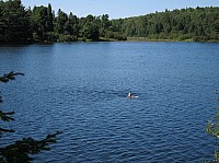 0307_IMG_0914.JPG