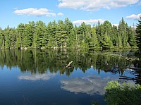 0311_IMG_0918.JPG