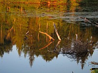 0322_IMG_0932.JPG