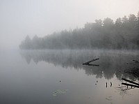 0336_IMG_0952.JPG