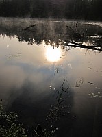 0340_IMG_0963.JPG