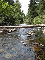 0347_C_IMG_1477.JPG
