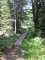 0350_C_IMG_1483.JPG