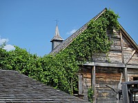 0427_IMG_1066.JPG