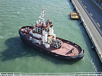 CIMG5653.JPG