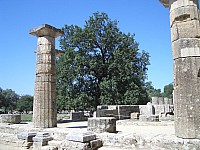 CIMG5725.JPG
