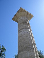 CIMG5743.JPG