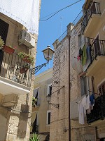 091_IMG_0555.jpg