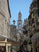 100_IMG_0566.jpg