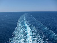 130_IMG_0620.jpg