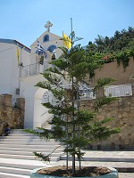 155_IMG_0651.jpg