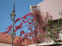 166_IMG_0669.jpg