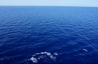 244_DSC04526.jpg