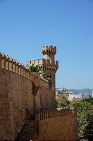 294_DSC04638.jpg