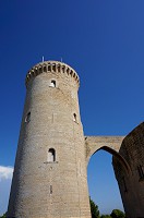 310_DSC04668.jpg
