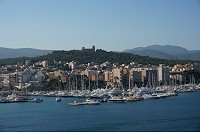 335_DSC04719.jpg