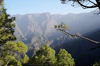 117_SS002377.jpg