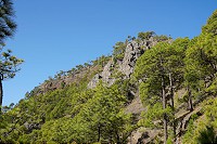 125_SS002389.jpg
