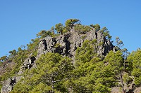 129_SS002395.jpg