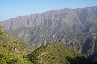 131_SS002398.jpg