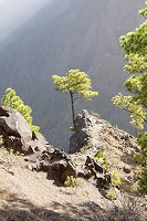 133_SS002405.jpg