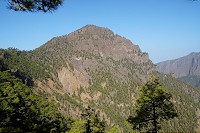 136_SS002408.jpg