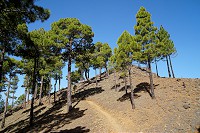 140_SS002413.jpg