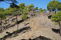 146_SS002424.jpg
