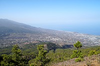 150_SS002432.jpg