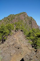 154_SS002436.jpg
