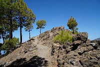170_SS002468.jpg