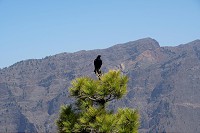 173_SS002473.jpg